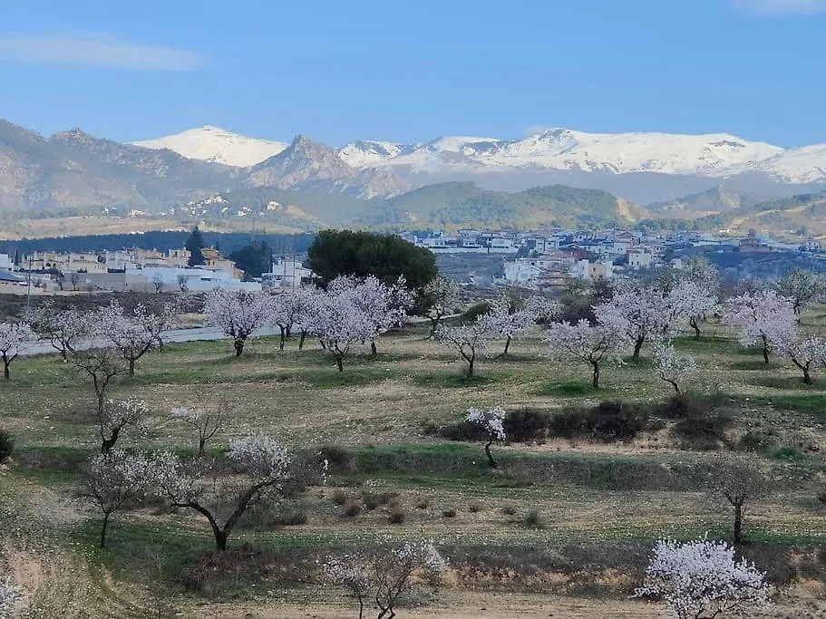 Villa Terracota, Lujo En Granada Y Sierra Nevada Španělsko